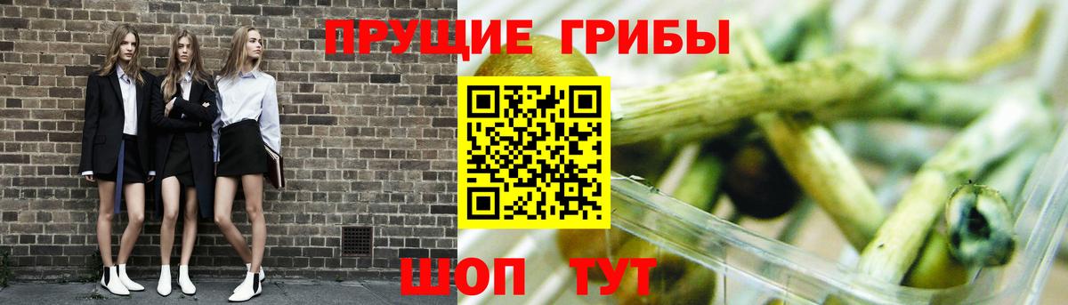 Псилоцибиновые грибы Psilocybe Нефтекамск